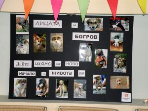Прикачена снимка