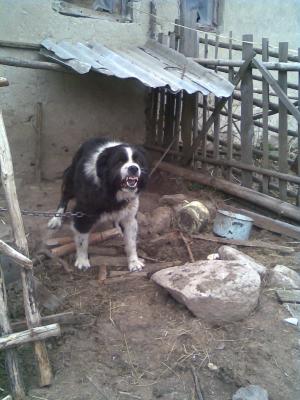 Прикачена снимка