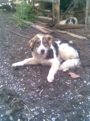 Прикачена снимка