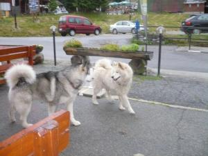 Прикачена снимка