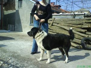 Прикачена снимка