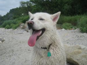 Прикачена снимка