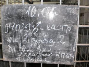 Прикачена снимка