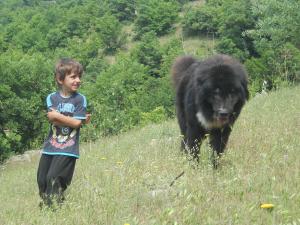 Прикачена снимка