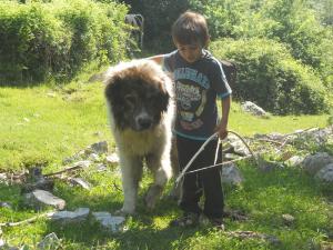 Прикачена снимка
