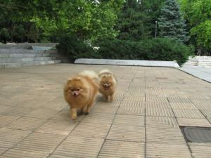 Прикачена снимка