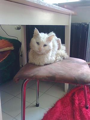 Прикачена снимка
