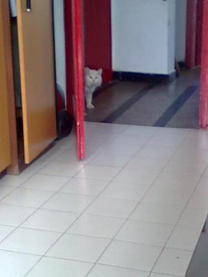 Прикачена снимка