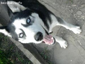 Прикачена снимка