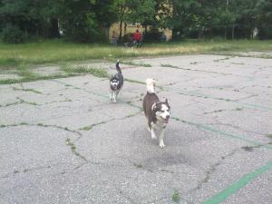 Прикачена снимка