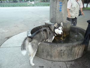 Прикачена снимка