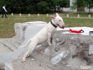 Прикачена снимка