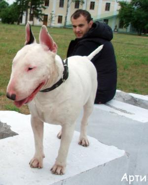 Прикачена снимка