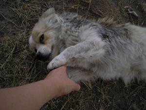Прикачена снимка