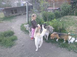 Прикачена снимка