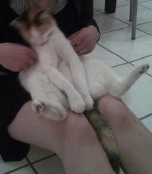 Прикачена снимка