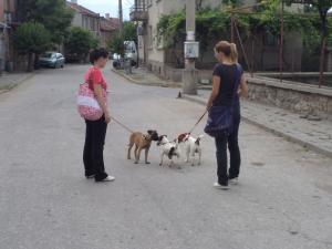 Прикачена снимка