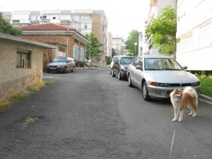 Прикачена снимка