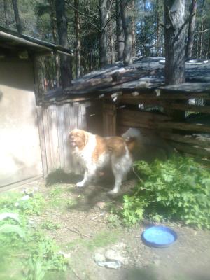 Прикачена снимка