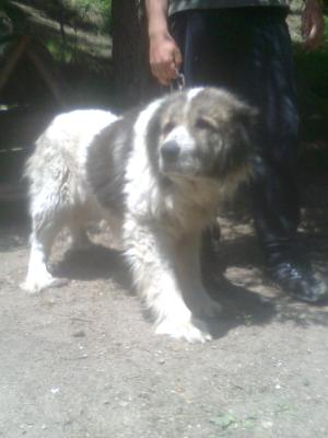 Прикачена снимка