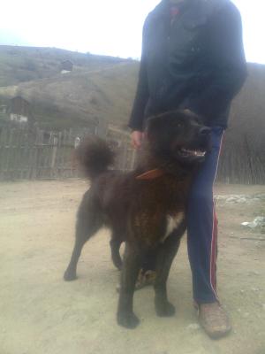 Прикачена снимка