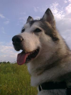 Прикачена снимка