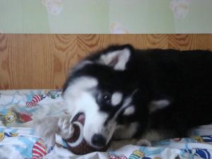 Прикачена снимка