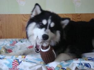 Прикачена снимка