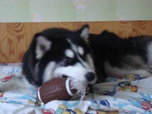 Прикачена снимка