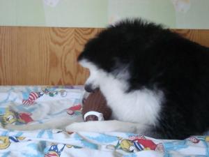 Прикачена снимка