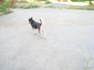 Прикачена снимка
