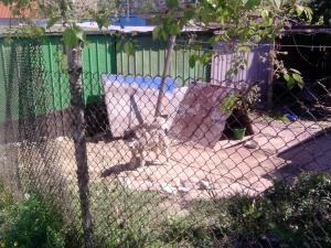 Прикачена снимка