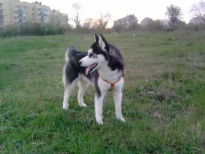 Прикачена снимка