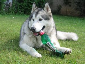 Прикачена снимка