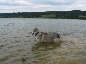 Прикачена снимка