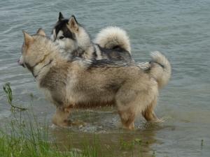 Прикачена снимка