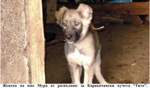 Прикачена снимка