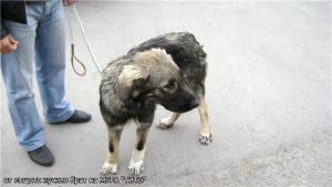 Прикачена снимка