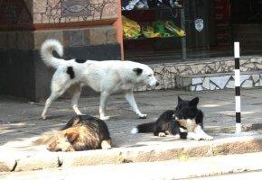 Прикачена снимка