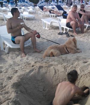 Прикачена снимка