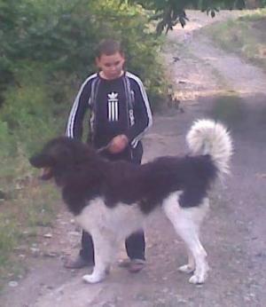 Прикачена снимка