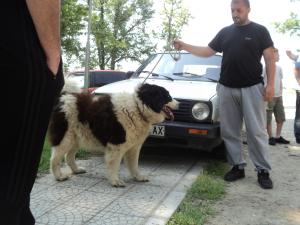 Прикачена снимка