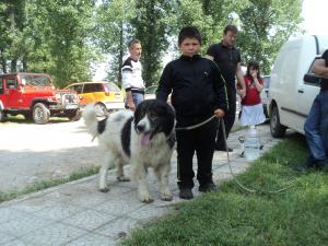 Прикачена снимка