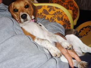 Прикачена снимка