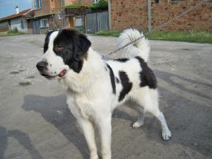 Прикачена снимка