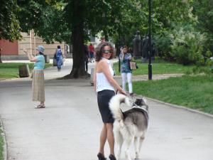 Прикачена снимка