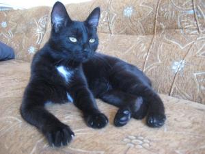 Прикачена снимка