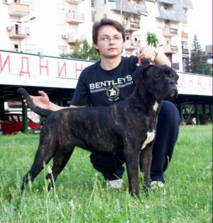 Прикачена снимка