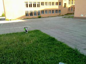 Прикачена снимка