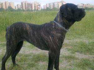 Прикачена снимка